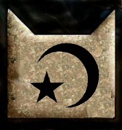 Nightclan symbol by fellowsharcar-d4pz160
