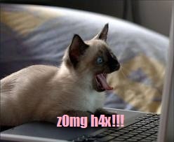 File:Zomg h4x.jpg