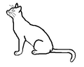 Thumbnail for version as of 01:32, August 28, 2010
