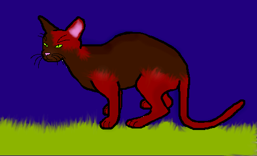 File:Jungelstar JungleClan.png