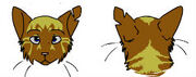 Mosstail's Head