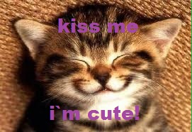 File:Smile!.jpg