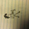 Thumbnail for version as of 03:47, January 25, 2013
