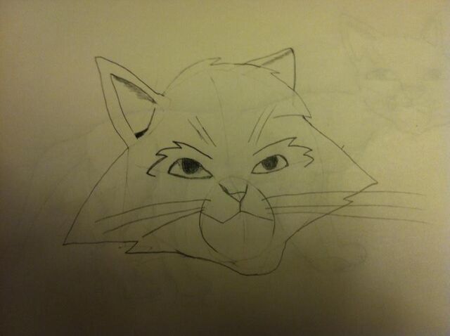 File:Cat drawing 2.jpg