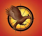 Catching Fire