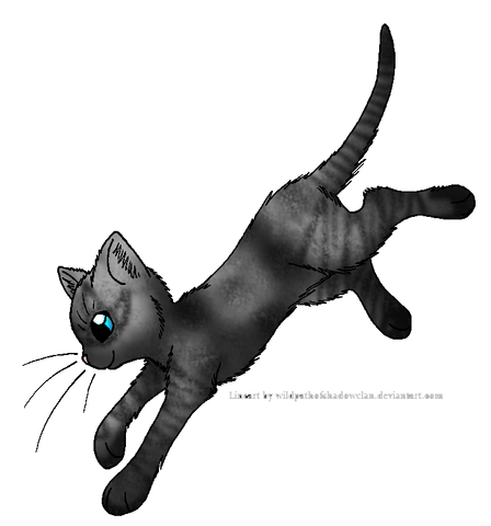 File:Rainfur.warrior.png