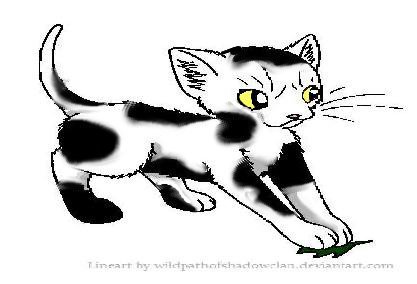 File:Swiftpaw3.jpg