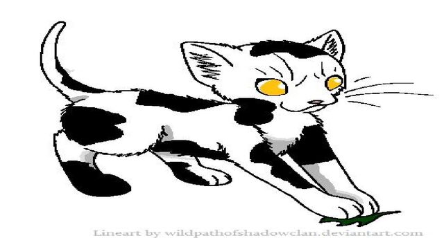 File:Swiftpaw.jpg