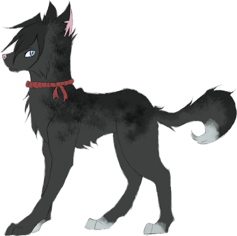 File:Darkfrost.png