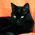 Thumbnail for version as of 18:24, November 11, 2011