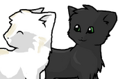 Pallidpaw and Nightpaw