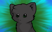 Nightpaw33