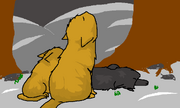 Forestpiv