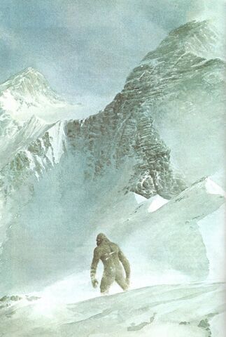 File:Yeti-in-snow.jpg