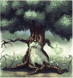 Branch of Zivilyn