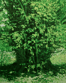 GreenMan-3