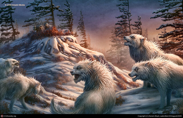 File:75184 1251568072 large.jpg