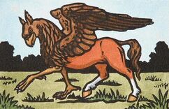 Hippogryph