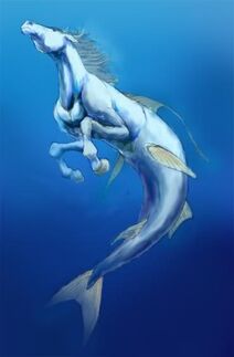 Hippocamp hippocampus swimming-1-