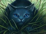 Bluestar-warrior-cats