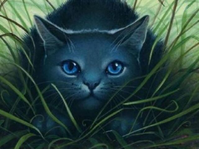File:Bluestar-warrior-cats.jpg