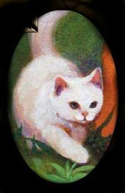 Cloudtail