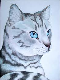 File:Silverstream.jpg
