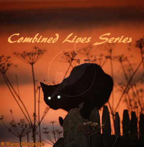 Combined Lives Series