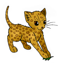 Leopardpaw.A
