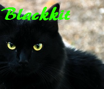 Blackkit