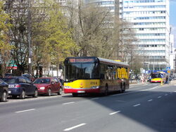 DSC05542.jpg