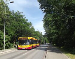 DSCF6195 (2)