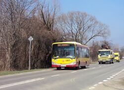 DSC08933.jpg