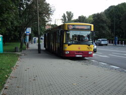 DSC03581.jpg