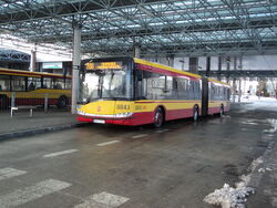 DSC04994.jpg