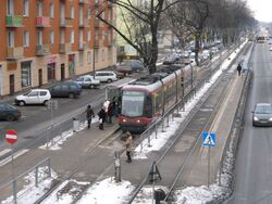 Czapelska