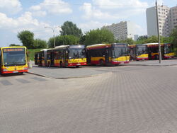 SN858204.jpg