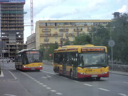 DSC06815.jpg