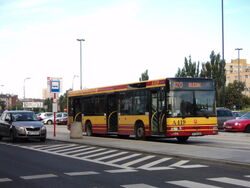 DSC06844.jpg