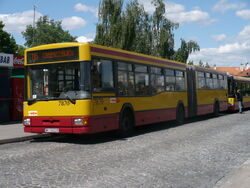 P1000844.jpg