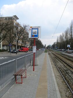 Bohomolca-przystanek