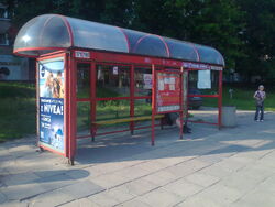 Młynarska02
