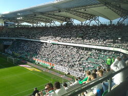 Zyleta (Legia).jpg