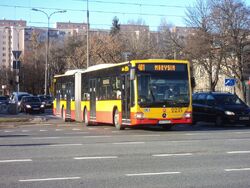 DSC08085.jpg