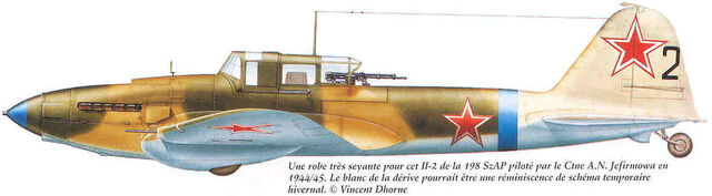 File:1 IL-2 AAR 198 AAD 233.jpg