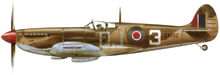 17 Spitfire F.VIII 92 squad
