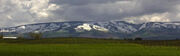Bluemtnswallawalla