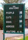 Anatonesign