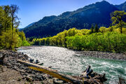 Elwhariverwa