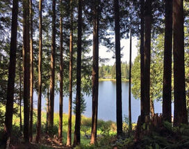 Pantherlakewa